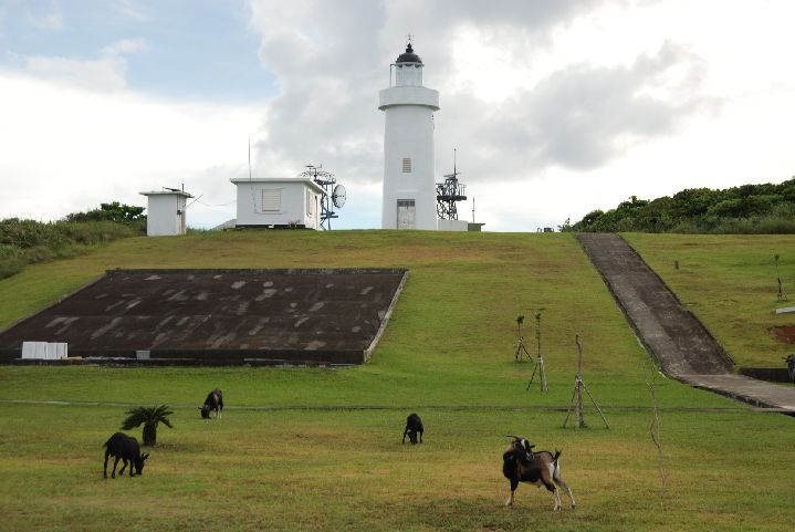 38.jpg - 38--蘭嶼燈塔園區內羊群們悠閒的低頭吃著草